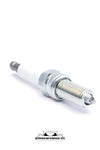 Spark Plug Set Of 8 (OEM)