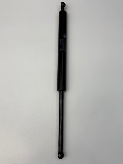GAS STRUT DOOR